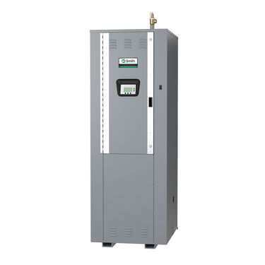 AO Smith Water Heater DVE1250A-195 Parts