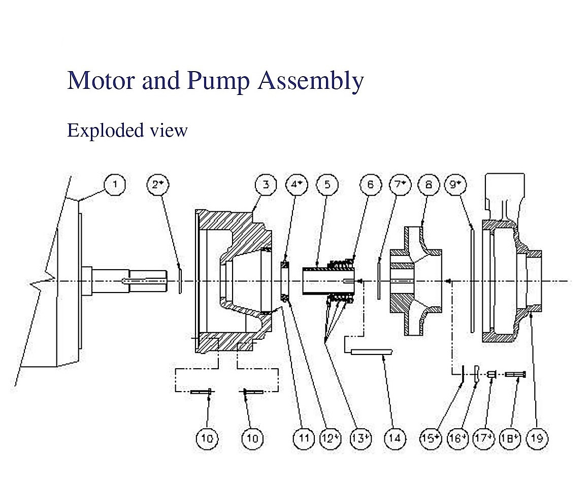 Motor and Pump Assembly Exploded view