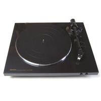 DP300F
