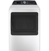 GE Appliance PTD70EBST0WS Parts & Manuals