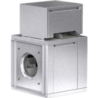 BSQ-10