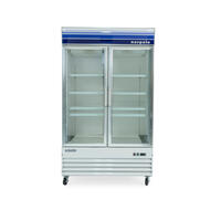 NPGF2-S45