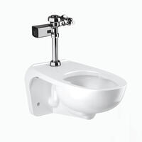 Sloan WETS-2450.1440 Parts & Manuals