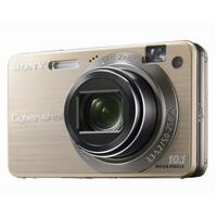 Sony DSCW170/G Parts & Manuals